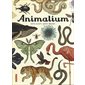 Animalium