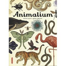 Animalium