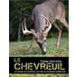 Le chevreuil : La chasse au chevreuil vue par un chasseur québécois