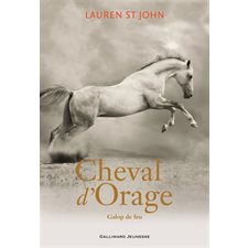 Cheval d'orage T.03 : Galop de feu : 9-11