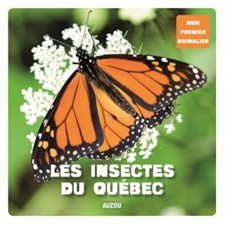 Les insectes du Québec : Auzou : Mon premier animalier