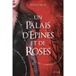 Un palais d'épines et de roses T.01 : 15-17