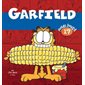 Garfield poids lourd T.17 : Bande dessinée