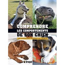 Comprendre les comportements de son chien : 100 postures passées au crible