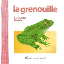 La grenouille : Petit documentaire