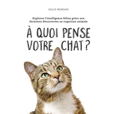 À quoi pense votre chat ? : Explorez l'intelligence féline grâce aux dernières découvertes en cognit