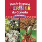 Mon très grand herbier du Canada : 72 arbres et plantes