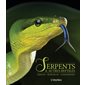 Serpents & autres reptiles