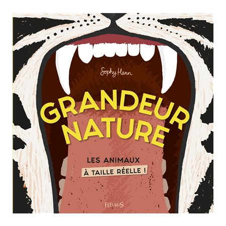 Grandeur nature : Les animaux à taille réelle !