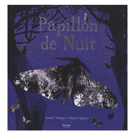 Papillon de nuit