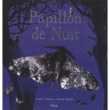 Papillon de nuit