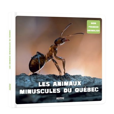 Les animaux minuscules du Québec : Mon premier animalier
