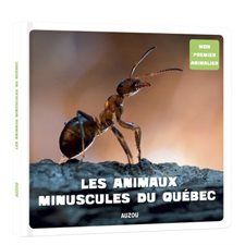 Les animaux minuscules du Québec : Mon premier animalier