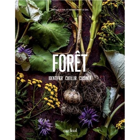 Forêt : Identifier, cueillir, cuisiner