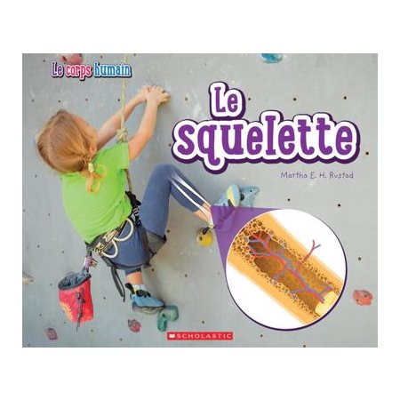 Le squelette : Le Corps humain