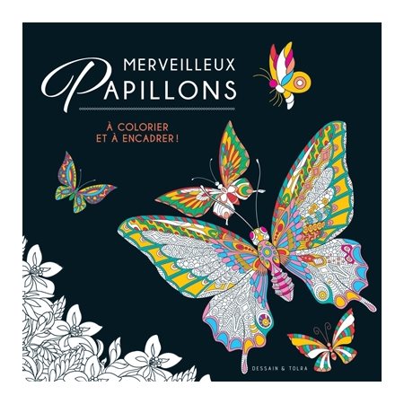 Merveilleux papillons : A colorier et à encadrer !