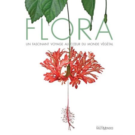 Flora : Un fascinant voyage au coeur du monde végétal