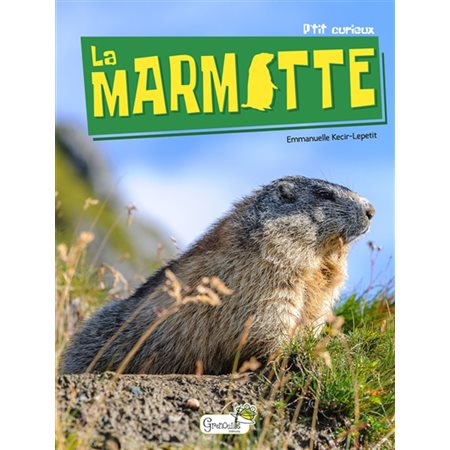 La marmotte : P'tit curieux