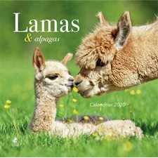 Lamas & alpagas : Calendrier 2020