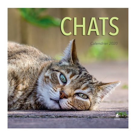 Chats : Calendrier 2020