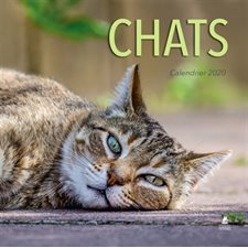 Chats : Calendrier 2020
