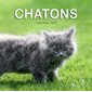 Chatons : Calendrier 2020