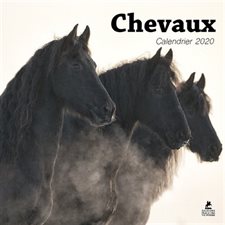 Chevaux : Calendrier 2020