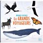 Les grands voyageurs : Animaux sauvages : Avec des cartes dépliables