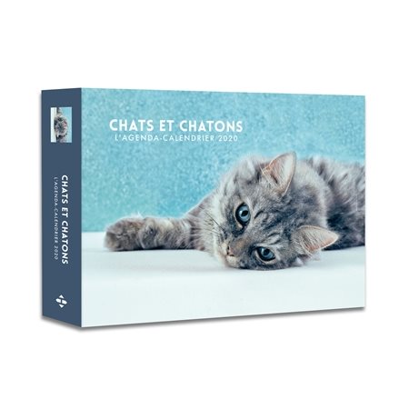 Chats et chatons : L'agenda-calendrier 2020