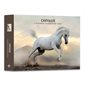 Chevaux : L'agenda-calendrier 2020