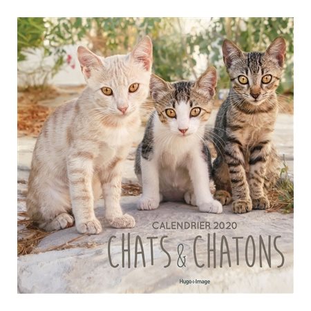 Chats et chatons : Calendrier 2020