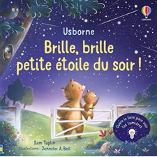 Brille, brille, petite étoile du soir ! : Ouvre le livre pour voir les lumières