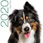 Chiens : Calendrier 2020