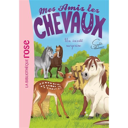 Mes amis les chevaux T.28 : Un invité surprise : Bibliothèque rose