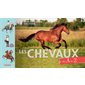 Les chevaux de A à Z