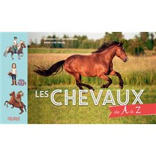 Les chevaux de A à Z