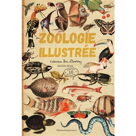 Zoologie illustrée : Collection Van Berkhey : 10 planches en couleur