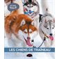 Les chiens de traîneau : Je sais tout