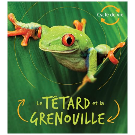 Le têtard et la grenouille : Cycle de vie