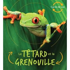 Le têtard et la grenouille : Cycle de vie