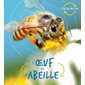 L'oeuf et l'abeille : Cycle de vie