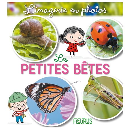 Les petites bêtes : L'imagerie en photos