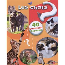 Les chats : 40 questions réponses