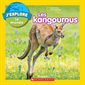 Les kangourous : National Geographic Kids. J'explore le monde