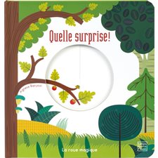 Quelle surprise ! : La roue magique