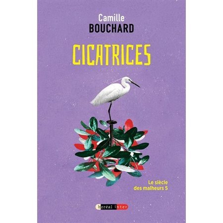 Le siècle des malheurs T.05 : Cicatrices