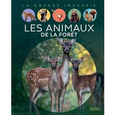 Les animaux de la forêt : La grande imagerie