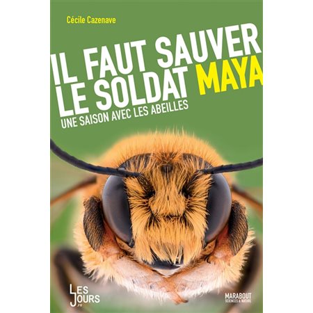 Il faut sauver le soldat Maya : Une saison avec les abeilles
