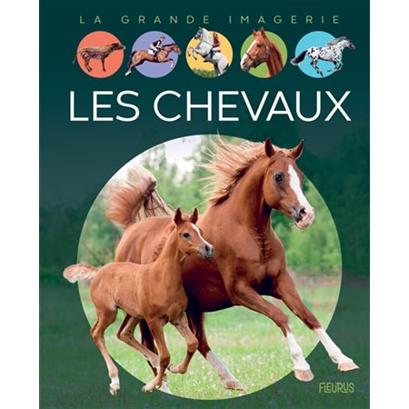 Les chevaux : La grande imagerie