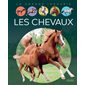 Les chevaux : La grande imagerie